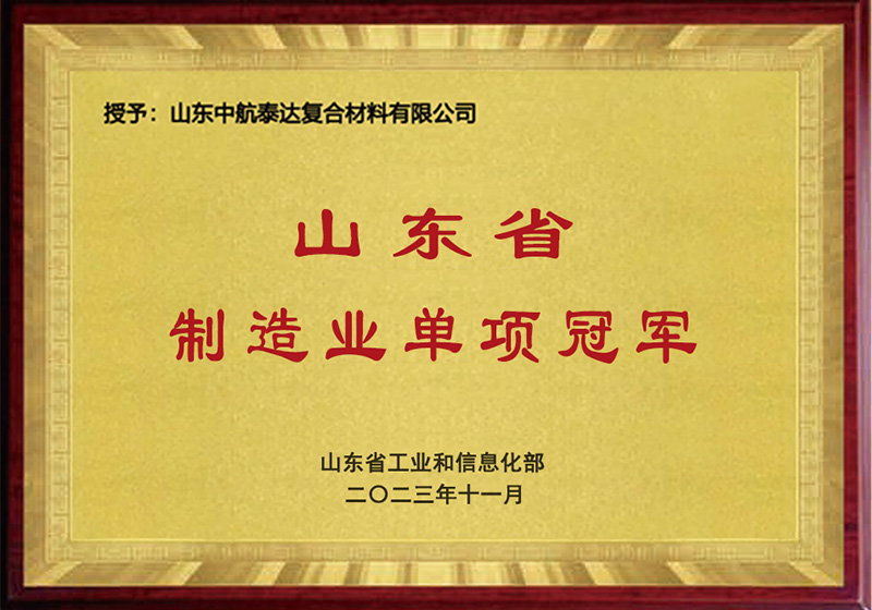 單項冠軍